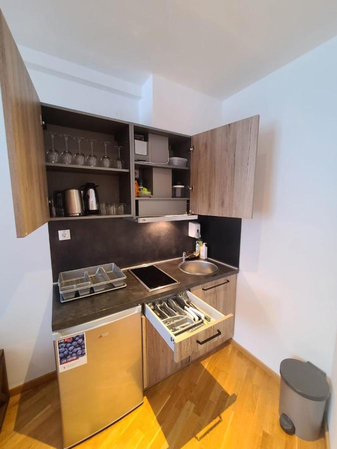 Beli Vuk - Brzece, Kopaonik Apartment Luaran gambar